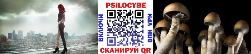 купить наркоту  Унеча  KRAKEN ONION  Галлюциногенные грибы Cubensis 