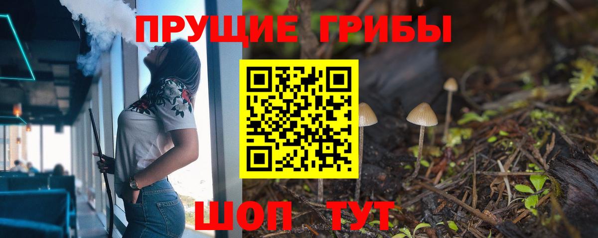 Псилоцибиновые грибы Psilocybine cubensis  Вход с VPN  Галлюциногенные грибы мицелий  Унеча 